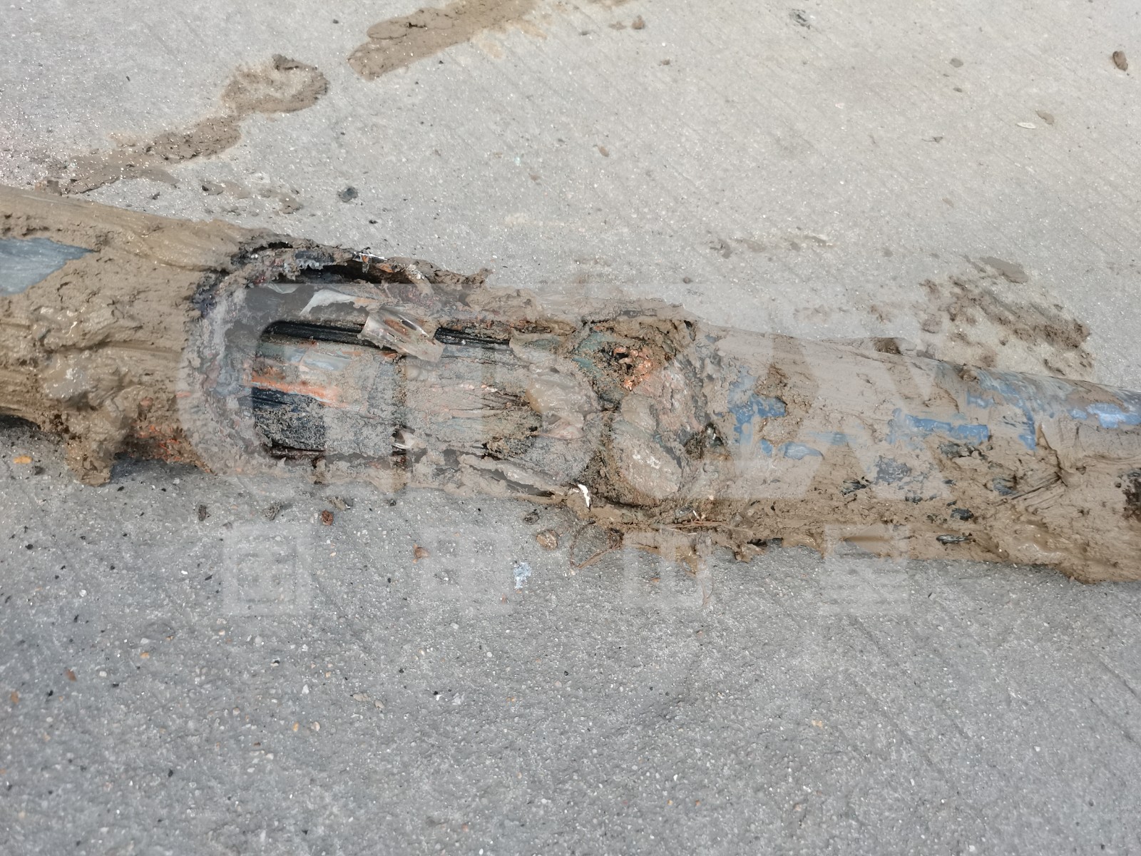 微信圖片_20210830085639.jpg 微信圖片_20210830085639.jpg